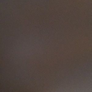 Meet your Posher, Daisy